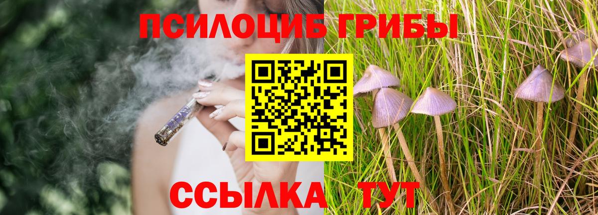 Галлюциногенные грибы GOLDEN TEACHER Южноуральск